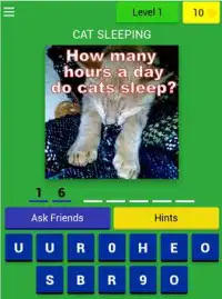 Cats Quiz Trivia Screen Shot 8