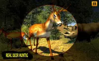 Wild Deer Hunting Adventure: Animal Shooting Games Screen Shot 6