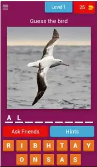 Birds Quiz - Learn All Birds! Screen Shot 0