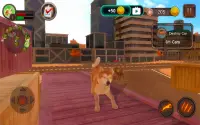 Akita Dog Simulator Screen Shot 19