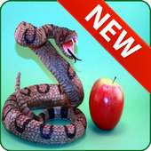 Game snake and apple
