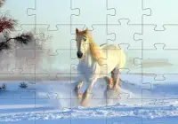 الخيول بانوراما الألغاز ألعاب مجانية 🧩🐎️🧩🐴🧩 Screen Shot 7