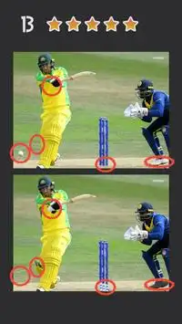 Spot the Differences - Cricket World Cup 2019 Screen Shot 6