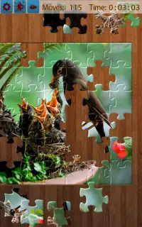 Jigsaw pássaros Screen Shot 10