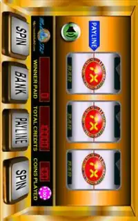 Mega Slot Pro Trial Screen Shot 1