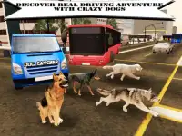 Dog Catcher Simulator Screen Shot 5