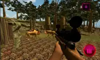 African Wild Lions & Tiger Hunting Simulator 3D Screen Shot 2