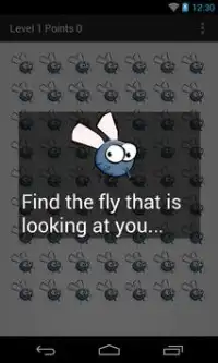 Find the fly Screen Shot 0