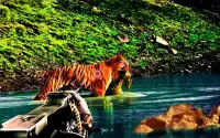 Wild Tiger Hunter 2016 Screen Shot 4