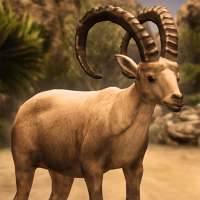 Ultimate Ibex Simulator