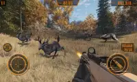 Animal Hunter Forest Sniper Shoot 3D Screen Shot 0