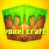 Voxel Craft : Castle Build PE