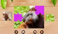 Monkeys Kid Jigsaw Puzzle Screen Shot 3