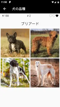 犬の品種-写真で人気のある犬の品種を見つけます Screen Shot 1