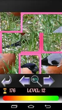 Puzzle Birds Screen Shot 2