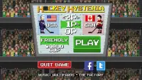 Hockey Hysteria Screen Shot 4