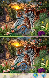 Spot the Differences Game Free 8 Screen Shot 5