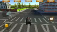 Bull Attack Simulator 2016 Screen Shot 3
