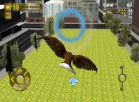 Fast Bird Simulator Rio Screen Shot 4
