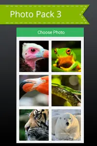 Animal Picture Puzzle Screen Shot 11