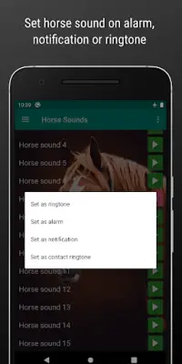 Horse Sounds and Ringtone free Screen Shot 2