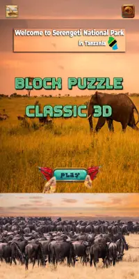 Serengeti Block Puzzle Screen Shot 0
