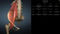 Anatomy Learning - Atlas d'anatomie 3D Screen Shot 4