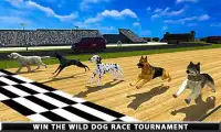 wilde Greyhound-Hunderennen Screen Shot 4