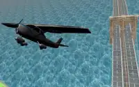Airplane Flying 3D Screen Shot 2