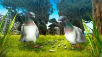City Bird Pigeon Simulator 3D Screen Shot 1
