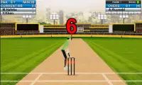 Cricket Master Blaster 2016 3D Screen Shot 2