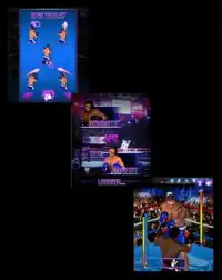 Ultimate Boxing Screen Shot 3