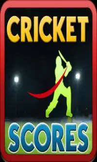 Pak Vs Aus Live Cricket TV HD Screen Shot 3