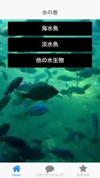 漢字　水生物のクイズ Screen Shot 0