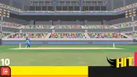 Cricket Arcade Screen Shot 6