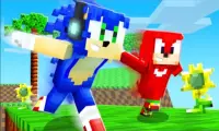 Sonic Adventure Addon pour Minecraft PE Screen Shot 2