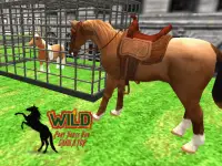 Wild Pony Horse Run Simulator Screen Shot 5