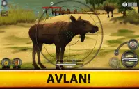 Wild Hunt: Hayvan Avlama Oyunu Screen Shot 17