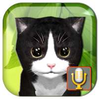 Talking Kittens, gato virtual