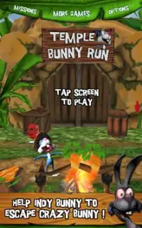 Temple Bunny Run Screen Shot 0