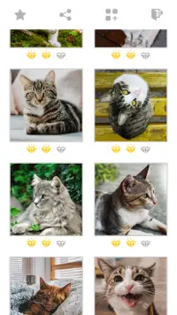 Puzzles Katzen: intelligente Mosaikspiele Screen Shot 2