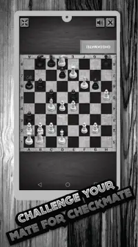 Chess Checkmate Screen Shot 4