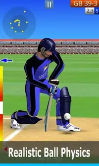 Smashing Cricket: cricket game Screen Shot 2