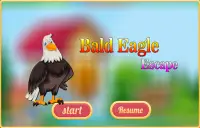 Free New Escape Game 91 Bald Eagle Escape Screen Shot 2