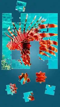 Sea Life Jigsaw Puzzles Screen Shot 9
