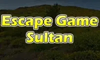 Escape Game Sultan Screen Shot 3