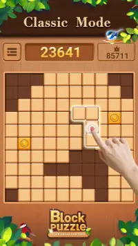 Wood Block Puzzle: Classic wood block puzzle games Screen Shot 1