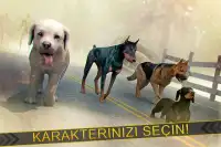 Köpek Yavru Zombi Simülatörü Screen Shot 2