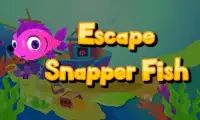 Escape Snapper Fish Screen Shot 2