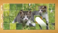 Cat Puzzles - Drag & Swap Screen Shot 4